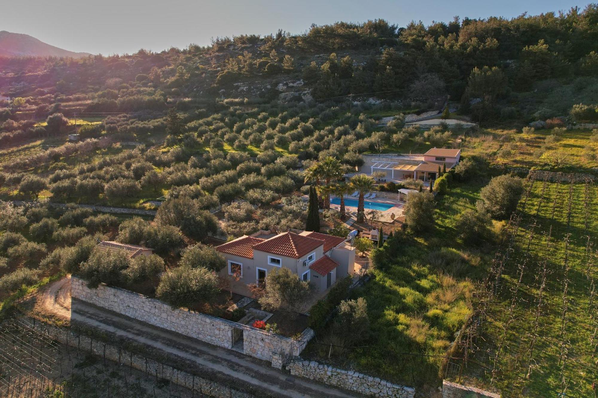 The Olive Grove Villas With Swimming Pool And Breakfast Archanes Extérieur photo